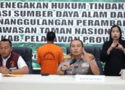 Tokoh Adat Ditangkap Polda Riau karena Jual-Beli Lahan Konservasi