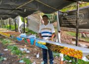 Dibalik Gemuruh Tepian Narosa: Pengorbanan, Pawang, dan Biaya Fantastis Bentuk Tradisi Pacu Jalur