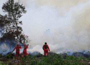 Karhutla Riau Makin Mengganas, Manggala Agni Berjibaku Hadapi Medan Berat dan Angin Kencang