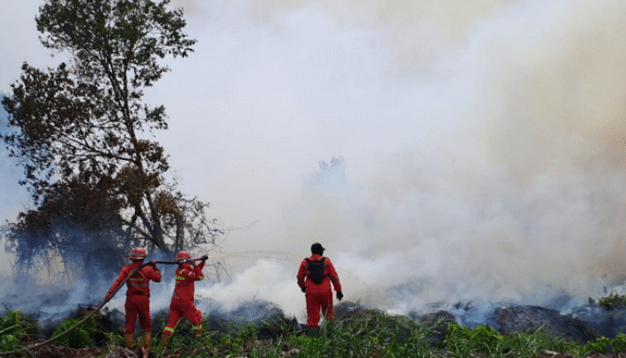 Karhutla Riau Makin Mengganas, Manggala Agni Berjibaku Hadapi Medan Berat dan Angin Kencang