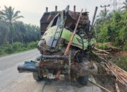 Kecelakaan Maut di Pelalawan: Truk Tronton Masuk Jurang, Grand Max Hancur, 5 Tewas