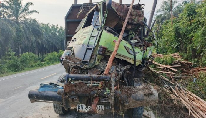 Kecelakaan Maut di Pelalawan: Truk Tronton Masuk Jurang, Grand Max Hancur, 5 Tewas