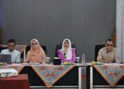 Ketua TP PKK Inhil Soroti Peningkatan Kematian Ibu & Bayi, Dorong Penguatan Posyandu