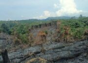 Bakar Hutan untuk Kebun Sawit, Rikardo Ditangkap Polres Inhu Berkat Aplikasi Canggih