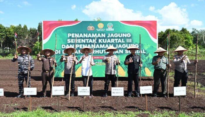 Dukung Asta Cita Presiden, Polres dan Pemkab Bengkalis Gencarkan Penanaman Jagung untuk Ketahanan Pangan