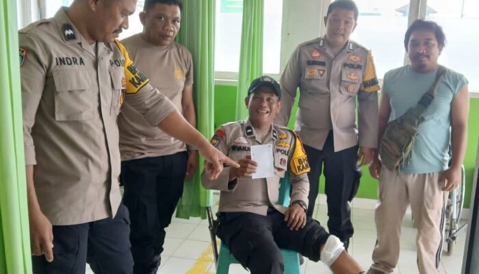 Aipda Irvan Habibie Terluka Demi Selamatkan Warga Saat Evakuasi Beruang, Ini Kronologisnya