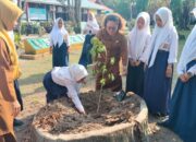 Dukung PHBS, SMPN 3 Bengkalis Terima Bantuan Pohon Taman dari DLH