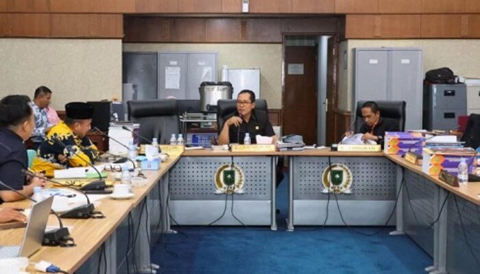 Komisi III DPRD Riau Soroti Kinerja Jamkrida, Pertanyakan Kemampuan Topang Kredit BRK