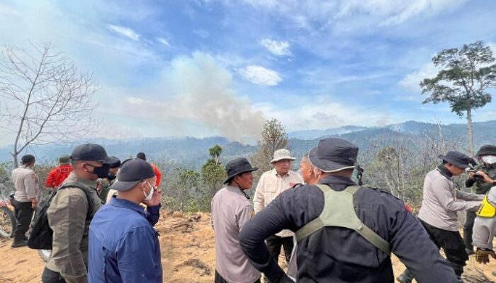 Wakapolda Riau Pimpin Langsung Pemadaman Karhutla di Perbukitan Rohul