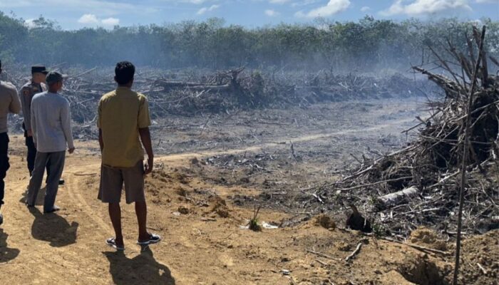 Asap Karhutla Riau Dipastikan Tak Lintasi Batas Negara, BMKG Gencarkan TMC