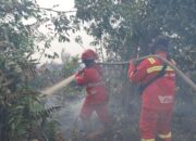 BMKG: Riau Berpotensi Hujan Ringan hingga Sedang, Namun 156 Titik Panas Masih Terdeteksi