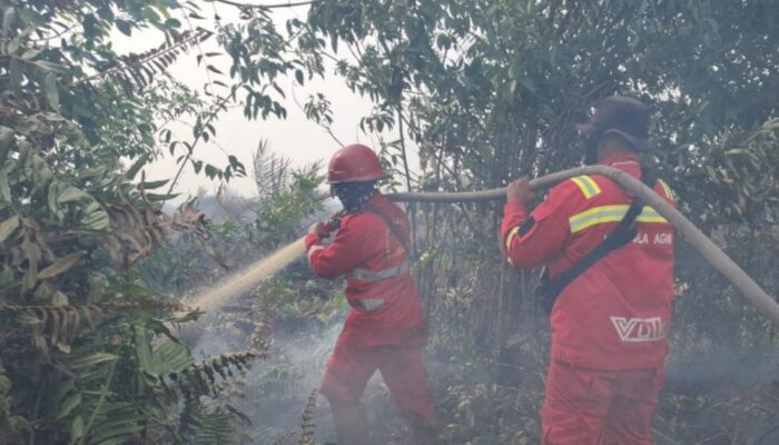 BMKG: Riau Berpotensi Hujan Ringan hingga Sedang, Namun 156 Titik Panas Masih Terdeteksi