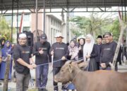 Mantap Wak! Bupati Inhil Turun Langsung Pimpin Penyembelihan Kurban