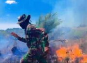 Pertarungan Melawan Api di Rohil, Prajurit TNI Bertaruh Nyawa Lindungi Pipa Minyak PHR