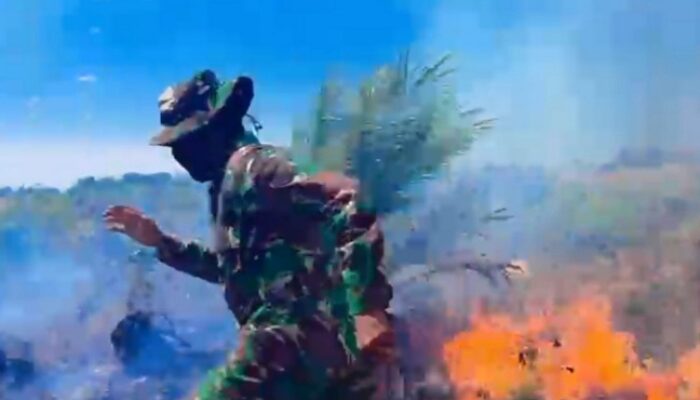 Pertarungan Melawan Api di Rohil, Prajurit TNI Bertaruh Nyawa Lindungi Pipa Minyak PHR