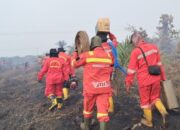 Karhutla Riau Terkendali: Hotspot Turun Drastis, Namun BMKG Tetap Ingatkan Waspada