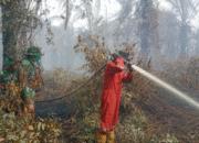 Manggala Agni Perkuat Barisan, 11 Titik Karhutla di Riau Masih Berkobar, Bantuan dari Jambi-Sumsel Dikerahkan