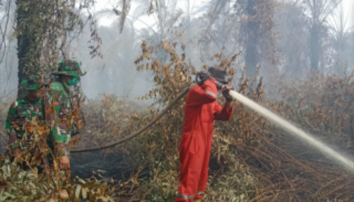 Manggala Agni Perkuat Barisan, 11 Titik Karhutla di Riau Masih Berkobar, Bantuan dari Jambi-Sumsel Dikerahkan