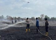 Kebakaran Hutan dan Lahan di Siak Masih Berlangsung, Tim Gabungan Terus Berupaya Padamkan Api