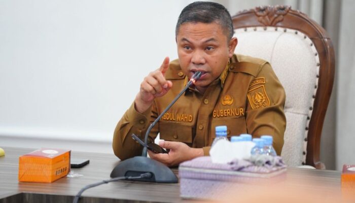 Tindak Lanjut Arahan BNPB, Riau Kini Berstatus Tanggap Darurat Karhutla untuk Penanganan Maksimal