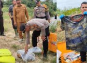 Tulang Belulang Manusia Ditemukan di Danau Pelalawan, Polisi Selidiki