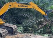 DPRD Riau yang Terindikasi Punya Lahan di TNTN Terbukti Hanya Satu Orang