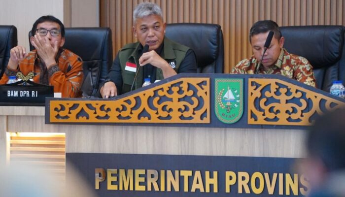Riau Targetkan 10 Ribu Hektare Lebih Replanting Sawit Rakyat Tahun Ini, Fokus di 10 Daerah