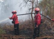 Kebakaran Lahan Gambut di Siak, Tim Gabungan Berjibaku Padamkan Api
