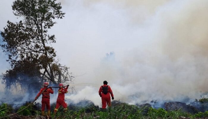 Riau Siap Naik Status Tanggap Darurat Karhutla, Ikuti Jejak Rohil dan Rohul