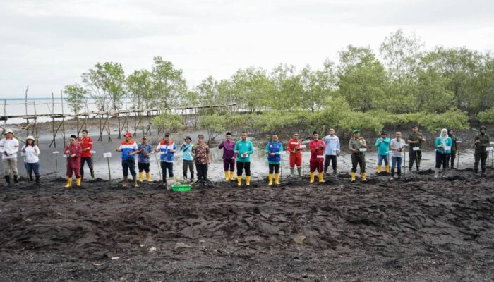 Peringati Hari Mangrove Sedunia, Pemko Dumai Tanam 2.000 Pohon di Pesisir Guntung