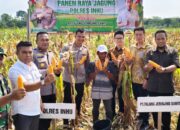 Panen Raya Jagung Pipil, Kapolres Inhu : Terima Kasih Sudah Melibatkan Polisi