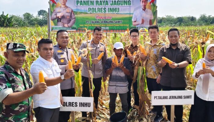 Panen Raya Jagung Pipil, Kapolres Inhu : Terima Kasih Sudah Melibatkan Polisi