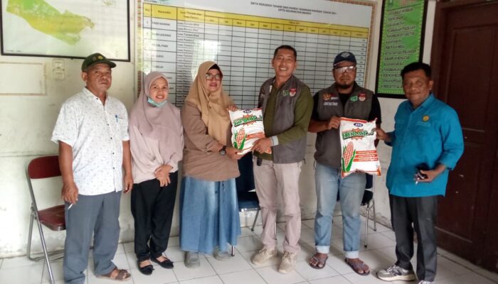 Dukung Kelompok Tani, Forum Pemuda Kandis Terima Bantuan Bibit Jagung dari Korlu dan PPL