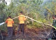 BPBD Tapteng Bersama Masyarakat Berhasil Padamkan Karhutla di Kelurahan Tapian Nauli