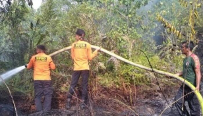 BPBD Tapteng Bersama Masyarakat Berhasil Padamkan Karhutla di Kelurahan Tapian Nauli