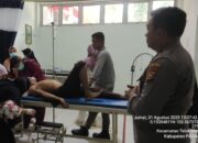 Kronologi Pekerja di Pelalawan Diserang Harimau Sumatera, Rekan Korban Sempat Mengusir
