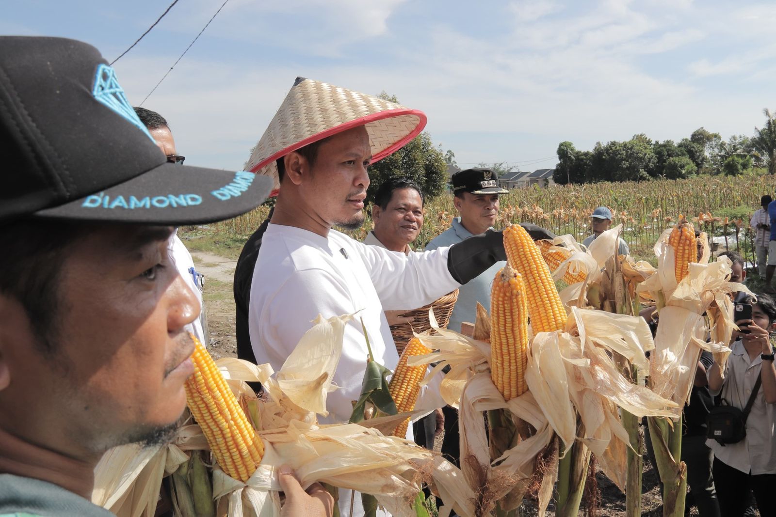 Wali Kota Pekanbaru dan jajaran Pemko Pekanbaru mengunjungi lokasi panen jagung masyarakat. Pemerintah daerah ini telah berkomitmen penuh untuk upaya menuju swasembada pangan.