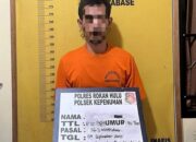 Polsek Kepenuhan Ringkus Pelaku Pencurian Sawit di PT. PSA, Dua Lainnya Masih Buron