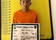 Polsek Tambusai Utara Bekuk Pemuda Pelaku Persetubuhan Anak di Bawah Umur