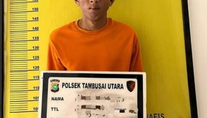 Polsek Tambusai Utara Bekuk Pemuda Pelaku Persetubuhan Anak di Bawah Umur