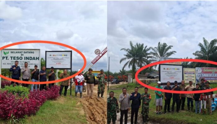 Alih Fungsi Kawasan Hutan Tanpa Izin, Kesultanan Peranap Dukung Pemerintah Sita Aset PT Teso Indah dan PT Sinar Belilas Perkasa
