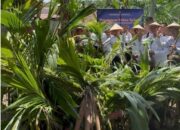 Lapas Pasir Pangaraian Tanam 300 Bibit Kelapa, Dukung Ketahanan Pangan Nasional