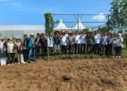 BUMDes Suka Maju & HMI Rohul Gelar Tanam Jagung, Dukung Ketahanan Pangan Daerah