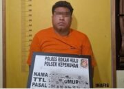 Pengedar Sabu di Kepenuhan Ditangkap Polsek, Gagal Buang Barang Bukti