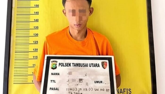 Polsek Tambusai Utara Gerebek Rumah di Simpang Harapan, 14 Paket Sabu Siap Edar Diamankan