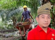 Ketua Komisi IV DPRD Inhu Irwan Toni : Hak Karyawan Harus Jadi Prioritas di Tengah Penyitaan Kebun Sawit Oleh Satgas PKH