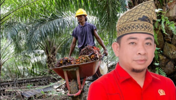 Ketua Komisi IV DPRD Inhu Irwan Toni : Hak Karyawan Harus Jadi Prioritas di Tengah Penyitaan Kebun Sawit Oleh Satgas PKH