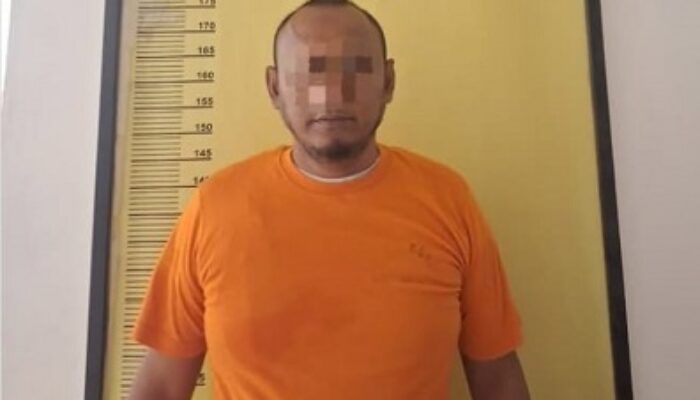 Polsek Tambusai Utara Bekuk Penipu Berkedok Anggota Polri, Tipu Korban Rp 1,2 Miliar dengan Janji Kelulusan Bintara