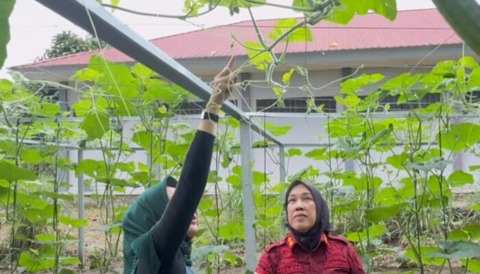 Warga Binaan Lapas Rumbai Belajar Bertani Labu Madu, Didampingi Langsung BPTP Riau