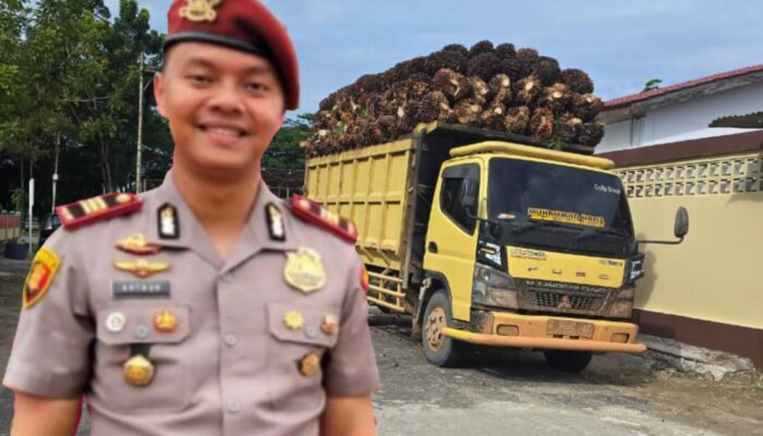 Tangkap Lepas, Dugaan Skandal Bisnis Ilegal Jual Beli TBS Pemerasan Oknum Kasat Reskrim Polres Inhu